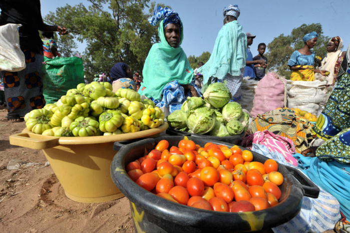 Gambie : Yahya Jammeh interdit l’importation de légumes en Gambie