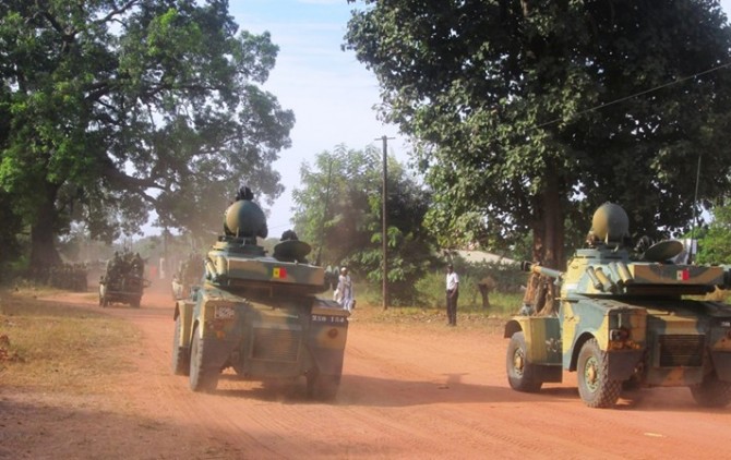 Bignona : Trois(3) tonnes de chanvre indien saisies et 18 champs détruits