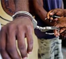 Dakar : Kader Badji arrêté avec 3,5Kg de chanvre indien Dakar : Kader Badji arrêté avec 3,5Kg de chanvre indien