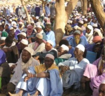 Vélingara : 18 trafiquants de bois envoyés en taule