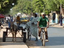 Ziguinchor : le corps sans vie d’un nouveau-né découvert Ziguinchor : le corps sans vie d’un nouveau-né découvert