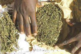 50 kilogrammes de chanvre indien saisis à Bounkiling (Police)