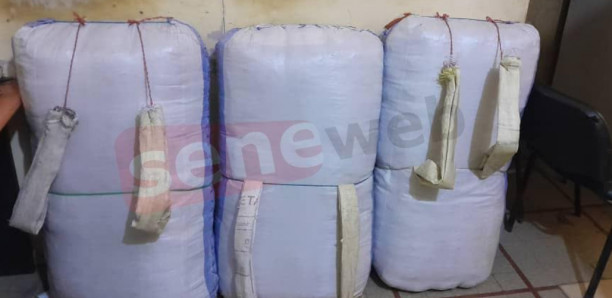 Karang : L'OCRTIS de Kaolack intercepte 124 kg de drogue, les dealers en fuite
