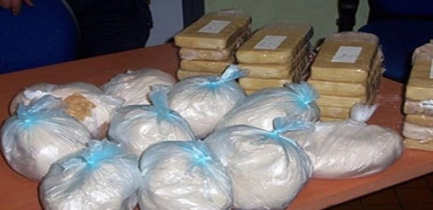 Saisie de 8 kg de Cocaïne : L'OCRTIS arrête 4 dealers dont 2 étrangers