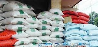 Pénurie de riz à Kaolack : Le kg se vend à 500 F CFA, la section locale de l’Ascosen tire sur la sonnette d’alarme