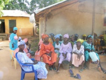 Récolte de noix de cajou : les femmes recrues surexploitées à Ziguinchor Récolte de noix de cajou : les femmes recrues surexploitées à Ziguinchor