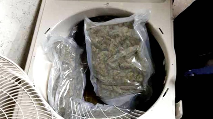 Démantèlement d'un Gang à Kolda : la police saisie 2kg de drogue et arrête trois (3) personnes dont artiste chanteur