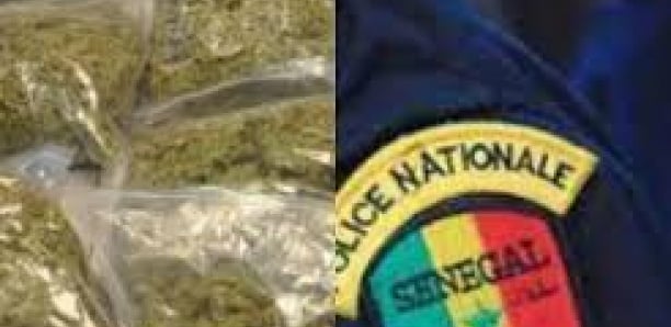 Kébémer : 3 voyageurs arrêtés avec 4 kg de drogue dans un bus