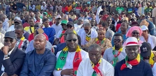 Décisions du Conseil constitutionnel, loi d'amnistie : La réaction de la plateforme F24