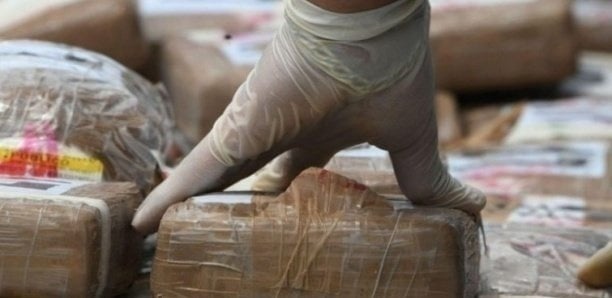 Trafic de drogue : Saisie record de 1137,6 kg de cocaïne à Kidira