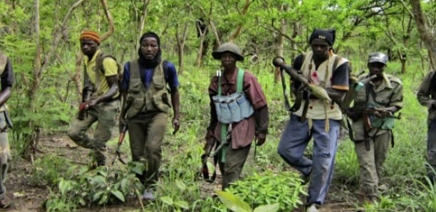 Dissidence au sein du MFDC : César Atoute Badiate perd le contrôle de la faction de…