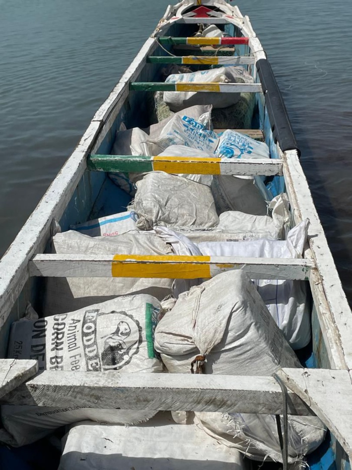 234 kg de cannabis conditionnés en 30 colis interceptés sur le littoral