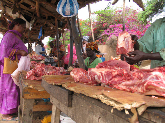 Prix de la viande : Le kilogramme passe de 2000 à 3.000 FCFA à Ziguinchor
