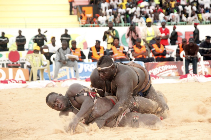 COMBAT ROYAL : Bombardier garde sa couronne, Modou Lô battu en moins de 10 minutes COMBAT ROYAL : Bombardier garde sa couronne, Modou Lô battu en moins de 10 minutes