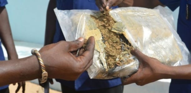 27kg de chanvre indien saisis à Kafountine