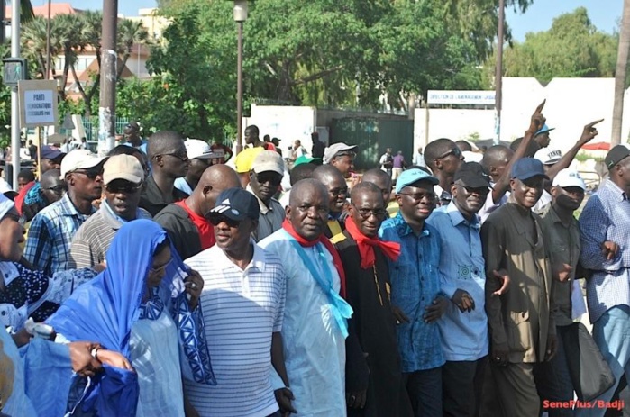 Le FPDR est à court d’idées et d’argent selon Habib Ndao de « Macky-2012 »