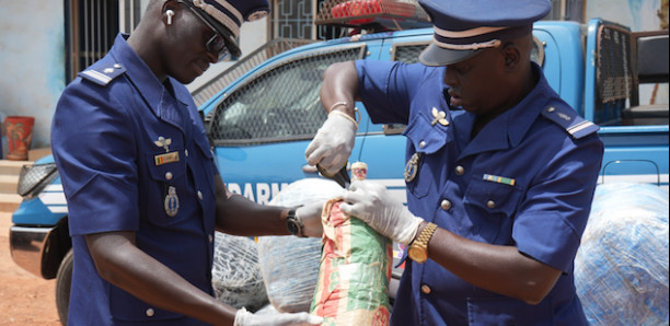 Trafic de drogue : 471kg de chanvre saisis à Yenne