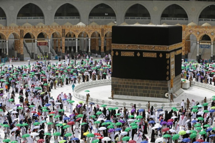 Hajj 2024: 11 décès, 1 disparition et 6% de taux de retards (Bilan MITTA) Hajj 2024: 11 décès, 1 disparition et 6% de taux de retards (Bilan MITTA)