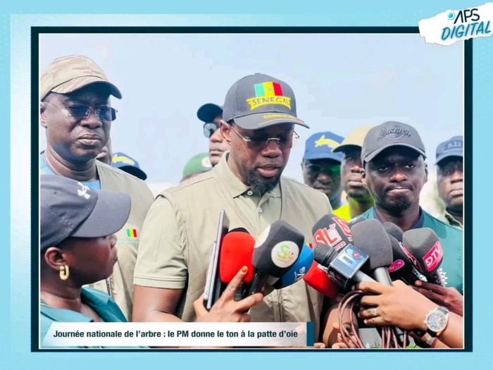 Ousmane Sonko appelle ses compatriotes à planter des arbres Ousmane Sonko appelle ses compatriotes à planter des arbres