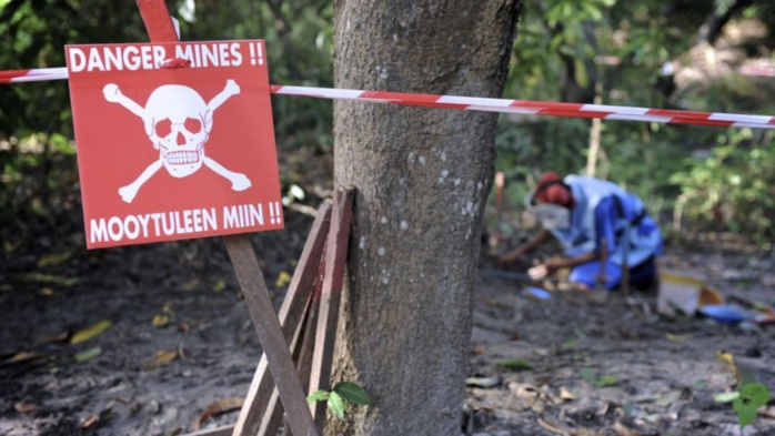 Déminage en Casamance : 500 engins explosifs et mines antipersonnel élagués depuis 2007 (CNAMS) Déminage en Casamance : 500 engins explosifs et mines antipersonnel élagués depuis 2007 (CNAMS)