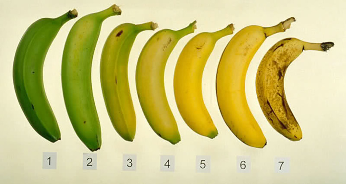 Savez-vous laquelle de ces sept bananes est la meilleure pour vous et votre santé