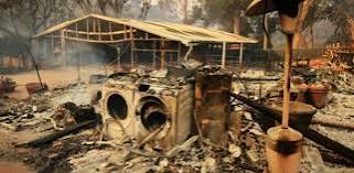 Un incendie emporte 12 cases et 42 bêtes dans un village de Dagana