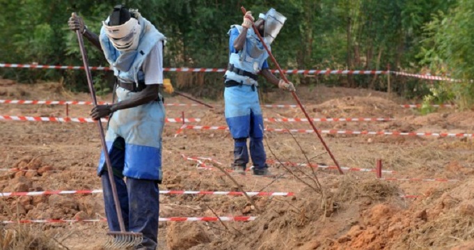 Des députés s'inquiètent de la rédudction du Budget de la lutte anti-mines en  Casamance