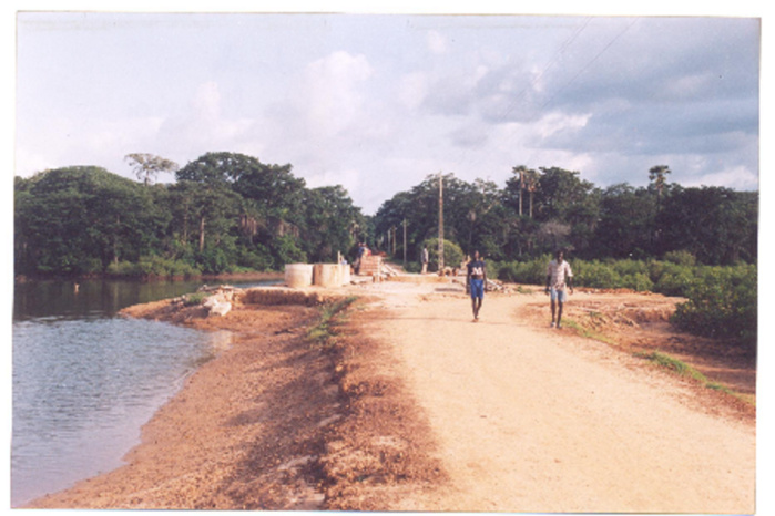 Casamance : Des projets de pistes de production sur l’axe Diégoune-Balingore- Affiniam