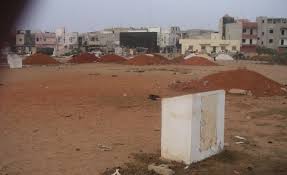 Alerte ! Les communes de Téssékéré et Fanaye se disputent des terres… l’Etat est interpellé - See more at: http://www.rewmi.com/alerte-les-communes-de-tessekere-et-fanaye-se-disputent-des-terres-letat-est-interpelle.html#sthash.UsbKFox5.dpuf