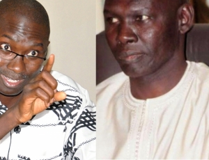 Débat - Ismaïla Madior-Babacar Guèye : Le référendum des constitutionnalistes