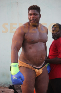 Tapha Tine : «Je ne vais pas durer avec Zoss» Tapha Tine : «Je ne vais pas durer avec Zoss»