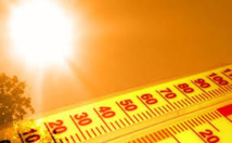 Des températures exceptionnellement élevées depuis lundi (ANACIM) Des températures exceptionnellement élevées depuis lundi (ANACIM)