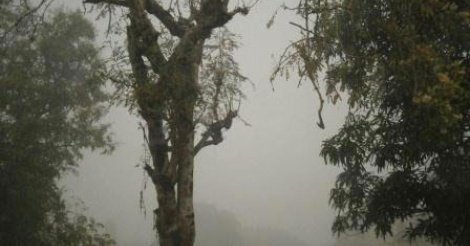 Sédhiou dans le brouillard depuis 48 heures