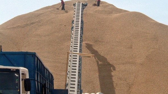 « Les chiffres de l'Etat sont inexacts...La production nationale arachidière est entre 500 et 600 000 tonnes ! » (SYNDICALISTES)