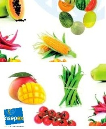 Le Sénégal en Allemagne pour le Fruit Logistica 2016 ! Le Sénégal en Allemagne pour le Fruit Logistica 2016 !