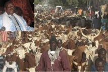 Abus de confiance: Le verdict de l'affaire du responsable de l’abattoir de Cheikh Bethio Thioune Abus de confiance: Le verdict de l'affaire du responsable de l’abattoir de Cheikh Bethio Thioune
