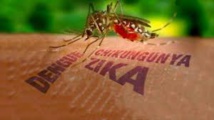 L'OMS convoque une réunion d'urgence sur le virus Zika
