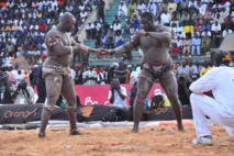 PAF décroche la revanche Modou Lô / Gris Bordeaux