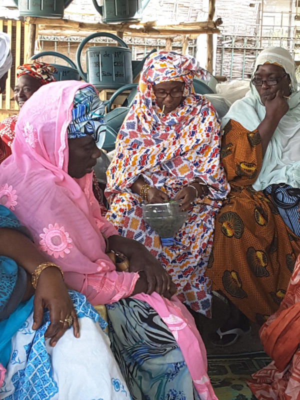 Soutien au micro-jardinage : Mora Cissé et Cheikh Bakhoum rament les femmes de Grand-Yoff