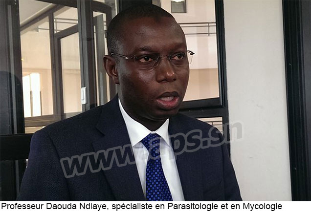 Le paludisme peut être éliminé au Sénégal d'ici 5 ans (CHERCHEUR)