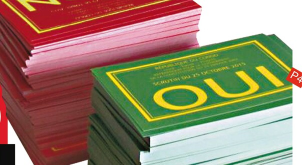 Avis du Conseil constitutionnel sur le référendum : Les amalgames qui polluent le débat