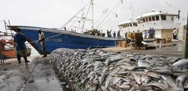 L’informel hors des radars budgétaires ? Une lecture incomplète des finances publiques