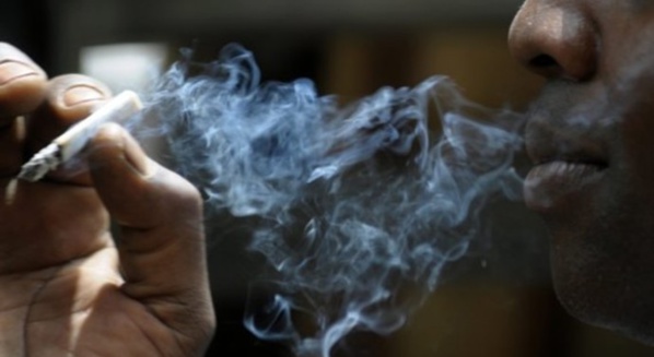 Arrêtés le 11 mai avec du Yamba : Diouldé Diallo et Sakhir Ndiaye assument… Ils fêtaient l’anniversaire de la mort de Bob Marley