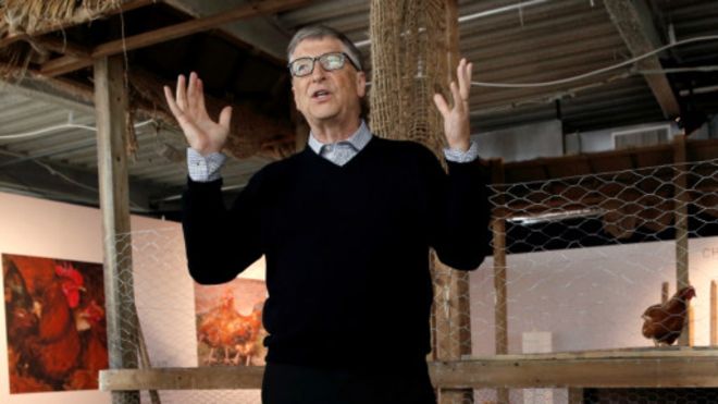 Afrique : Bill Gates investit dans la volaille