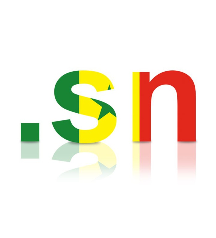 L’ETAT INVITÉ À FAVORISER LA VULGARISATION DU DOMAINE. SN