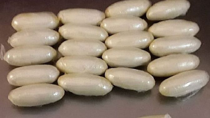 Trafic de drogues : Saisie record de 970 kg de cocaïne par la Douane à Koumpentoum