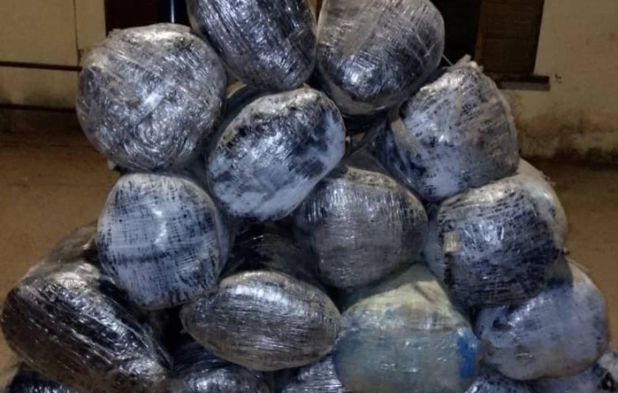 Mbour : 475 kg de chanvre indien saisis par la gendarmerie sur les côtes de Mbodiène