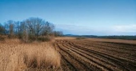 Un double scandale secoue la mairie de Mbacké