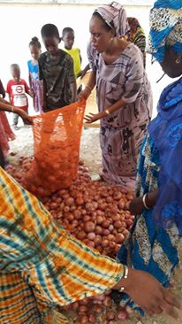 « LES ŒUVRES DE L’APERISTE DE MBAO ZAHARA GADIO »