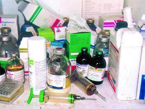 LA DOUANE SAISIT 1, 25 TONNE DE MÉDICAMENTS ET DE PRODUITS VÉTÉRINAIRES